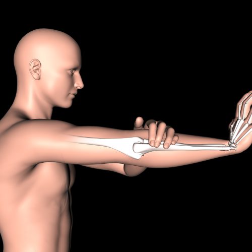 3D render of a male medical figure with arm bones highlighted